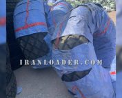 لاستیک غلطک 26-23.1